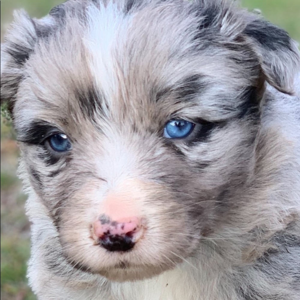 Meet your Posher, Kaci